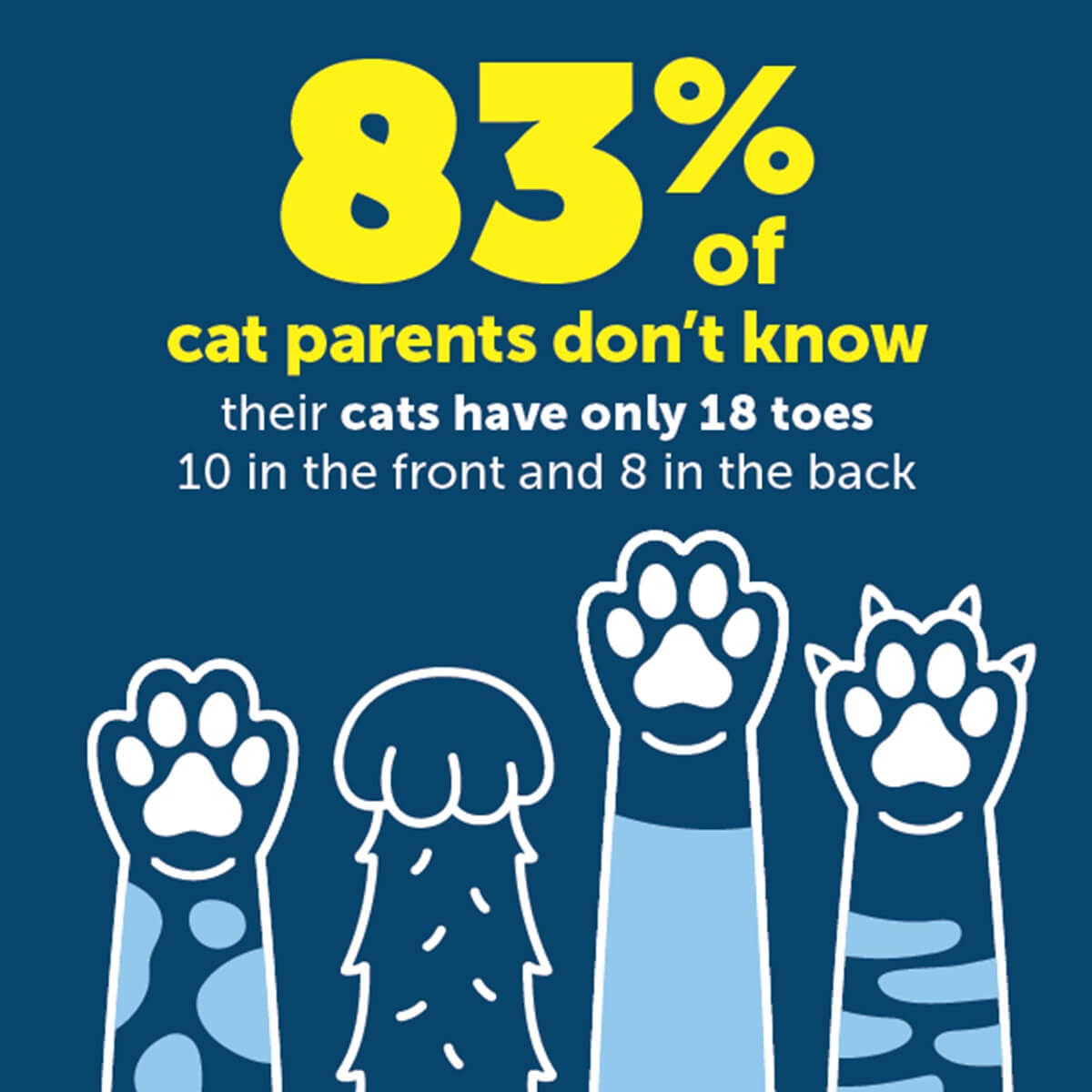 infographic on how many toes cat have and their owners ignorance of the fact