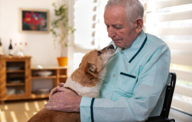 Dog giving a kiss to an older man