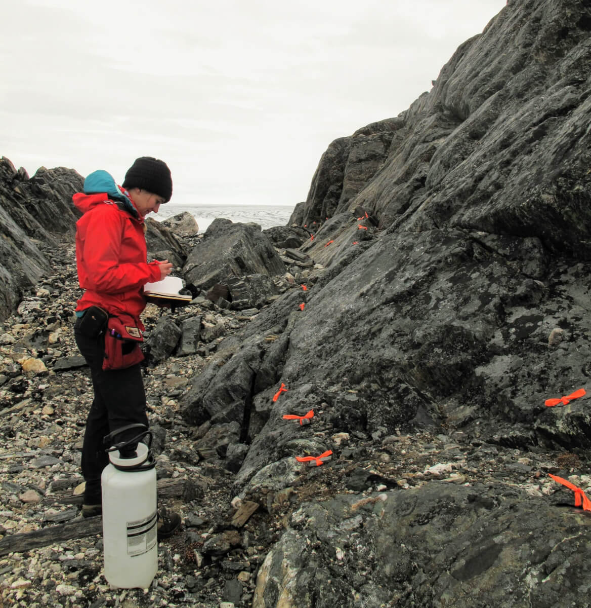 Samples were extracted along transects to compare the difference between 3.5 billion year old igneous intrusions, and the surrounding rock which the researchers have shown holds a record of the 3.7 billion year old magnetic field.