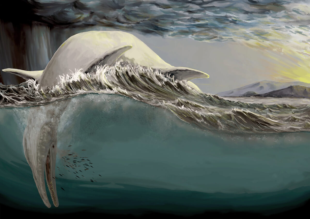 Remains of ichthyosaurs have been found in ocean sediment in various places around Europe