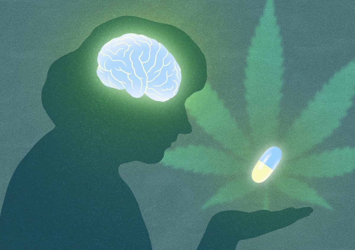 What is CBN? Lesser-known cannabis compound may protect brain cells