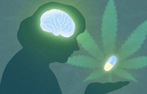 The outline of a person and their brain facing a cannabis leaf and symbolic CBN pill, demonstrating the potential for CBN to treat neurological disorders in the future.