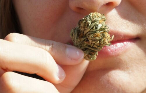 young woman smelling cannabis