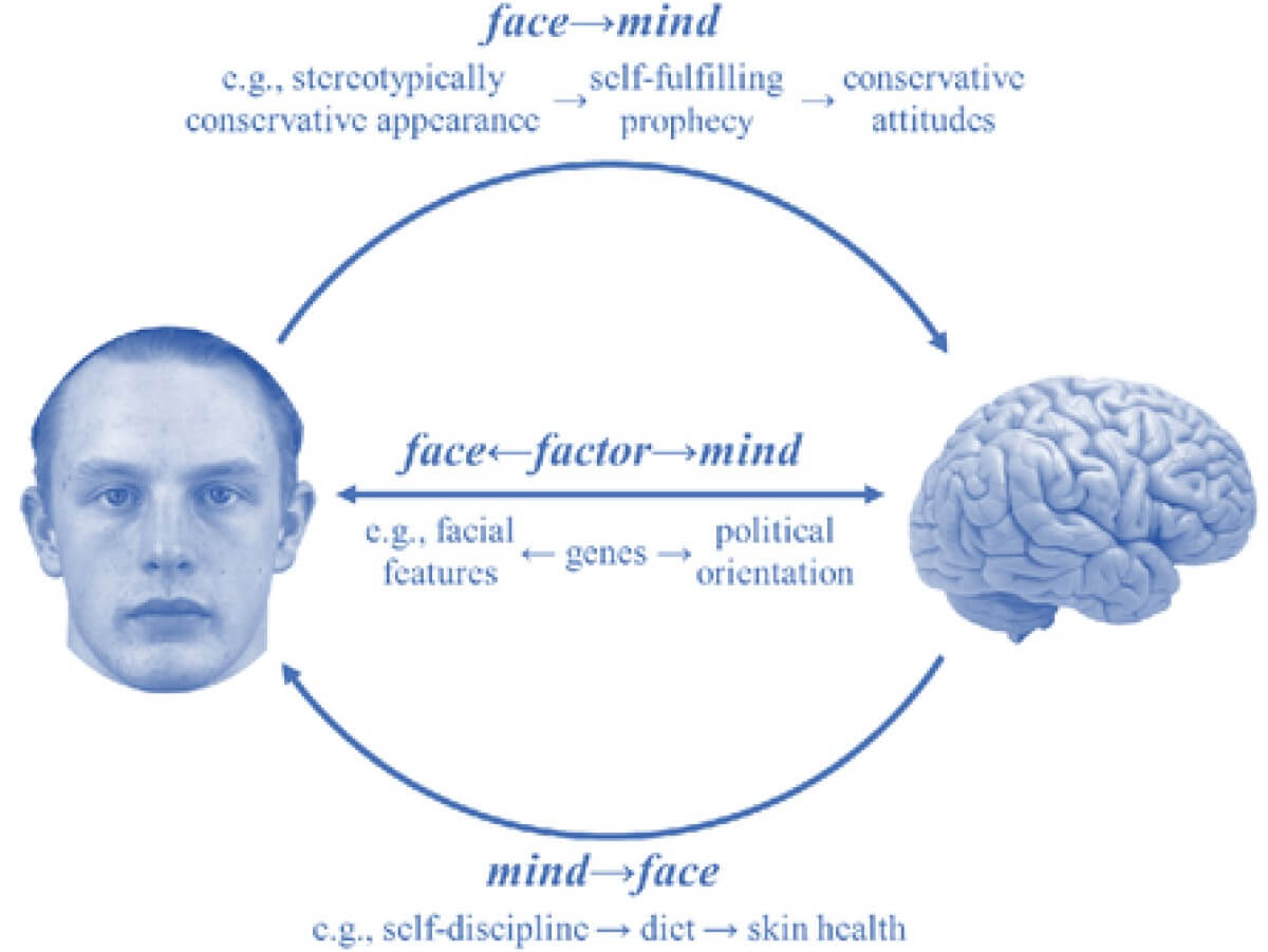 Three Causal Pathways Linking Facial Features and Political Orientation. 