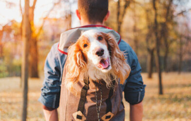 An owner carrying their dog in a backpack