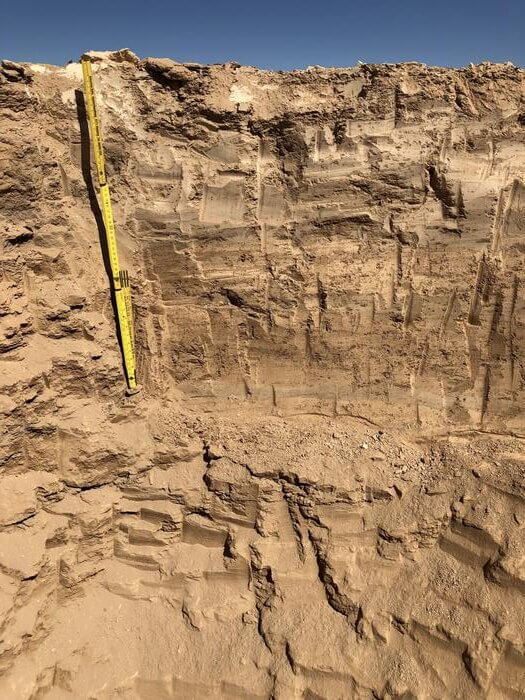 The upper part of the sampled soil profile in the Atacama Desert.