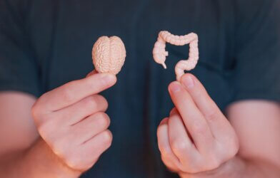 Gut-brain axis: Person holding a tiny brain and digestive tract