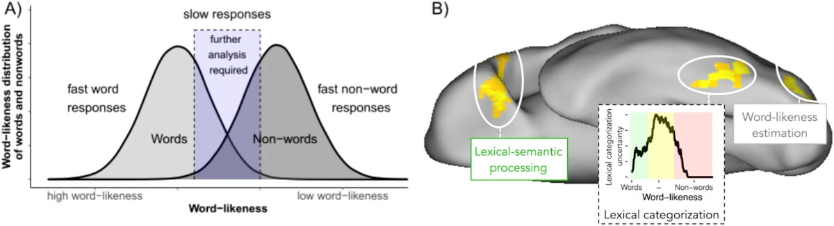 diagram of the brain processing words