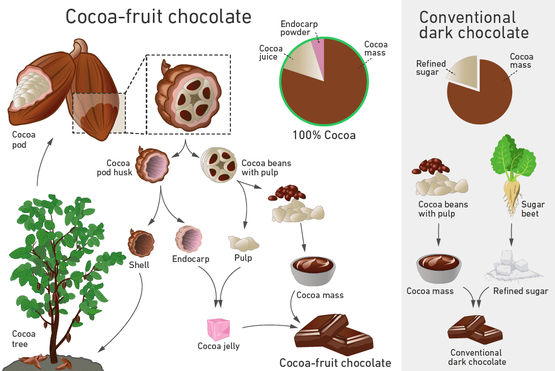 The illustration shows the utilization of the entire cocoa fruit.