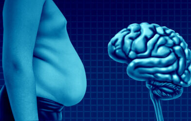 Obesity And The Brain