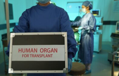 Operating room nurses holding the human organs for transplant