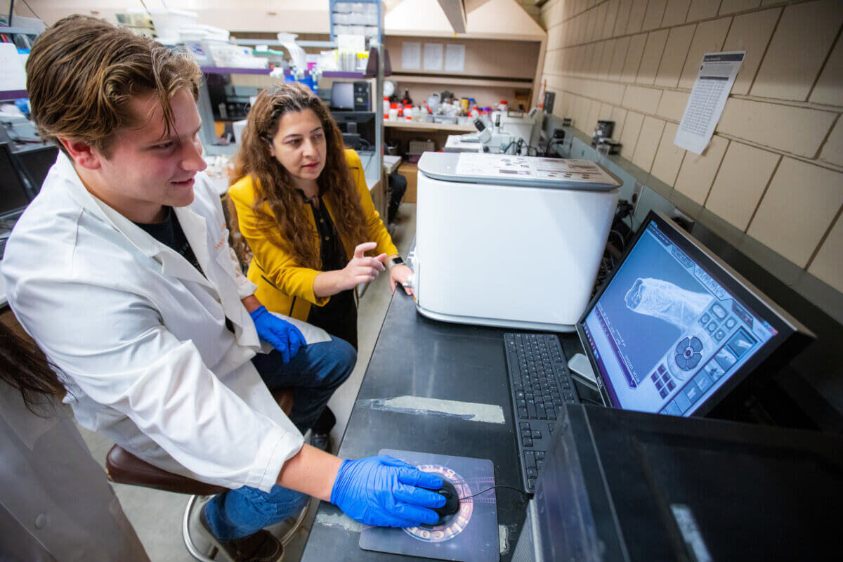 Nicole Hashemi, right, an associate professor of mechanical engineering, and Justin Sehlin, a graduate student, work in the Hashemi Lab to develop a "placenta-on-a-chip."