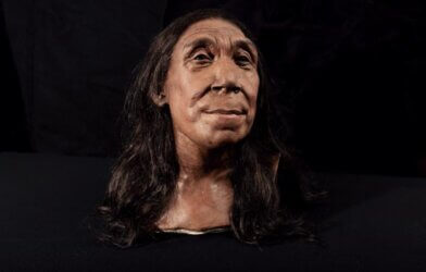 The recreated head of Shanidar Z, made by the Kennis brothers for the Netflix documentary ‘Secrets of the Neanderthals’ based on 3D scans of the reconstructed skull.