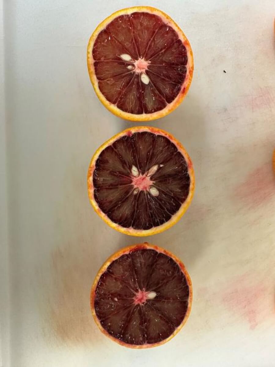 Frozen blood oranges