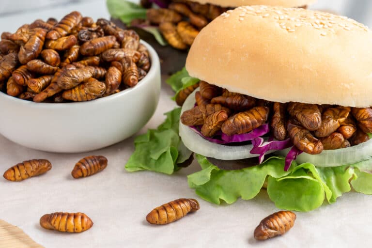 2 Billion People Feast On Insects Regularly. Is It Time We Embraced A ...